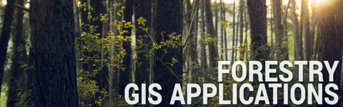 Forestry GIS Applications