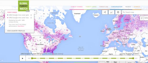 全球森林观察——森林地图