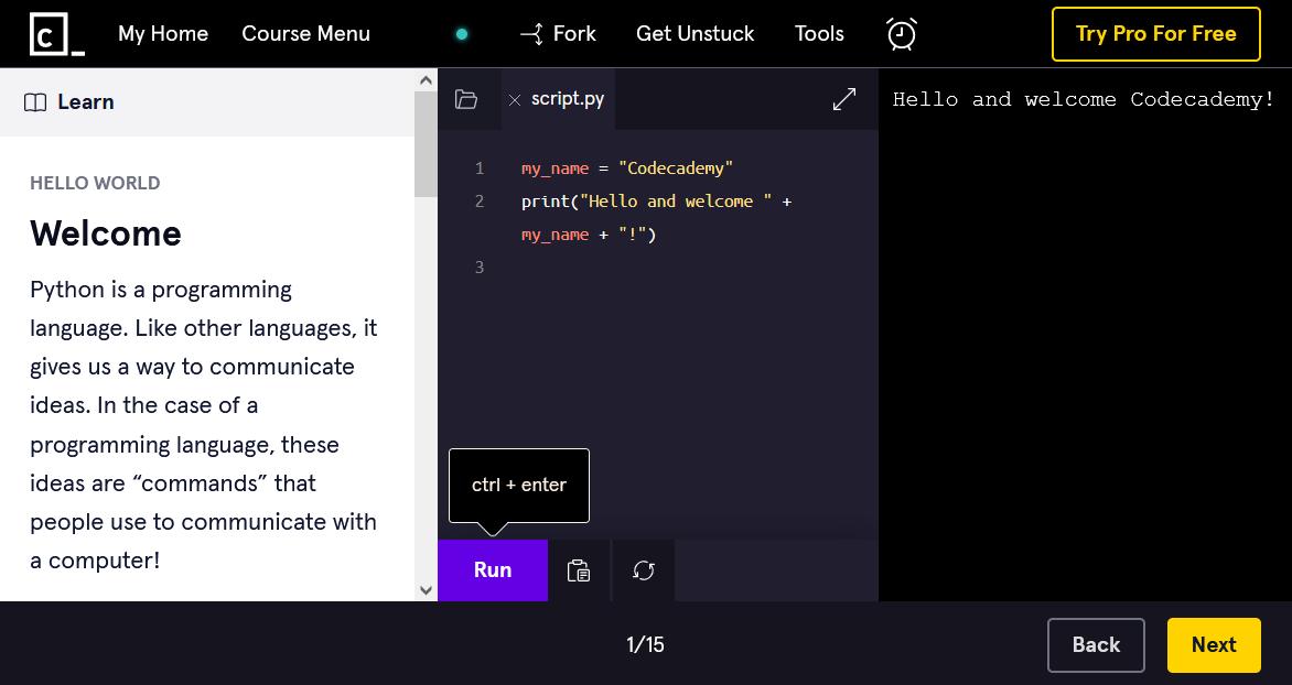 Codecademy Interface