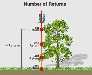 Number of Returns