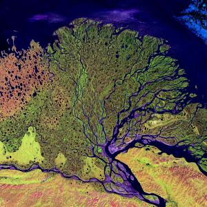 Satellite Imagery USGS