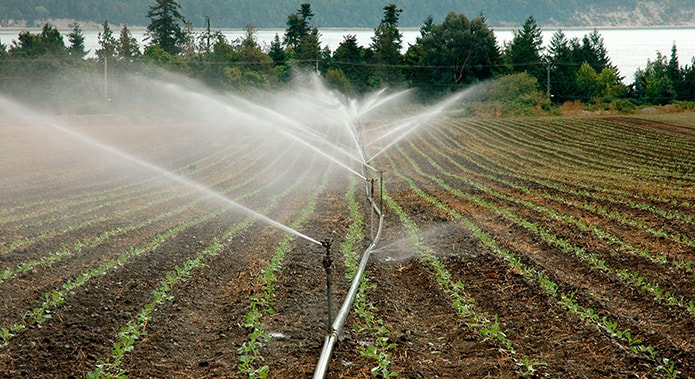 灌溉管理
